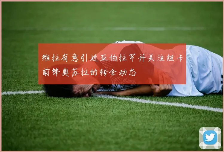 维拉有意引进亚伯拉罕并关注纽卡前锋奥苏拉的转会动态