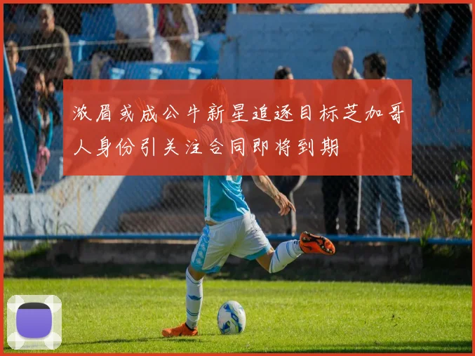 浓眉或成公牛新星追逐目标芝加哥人身份引关注合同即将到期