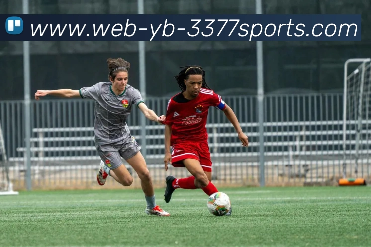 3377体育APP 高清赛事图